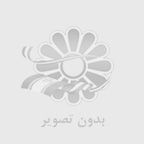 شركت تجاري